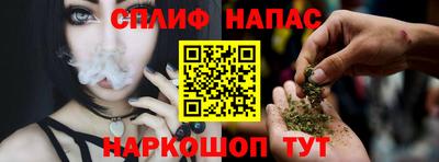 стаф Обь
