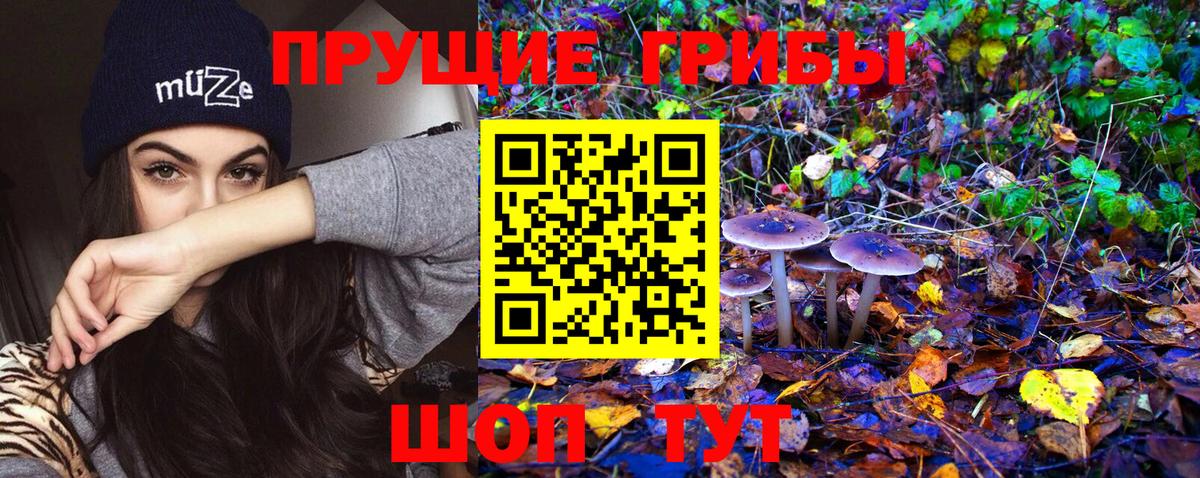 Псилоцибиновые грибы Cubensis Сургут