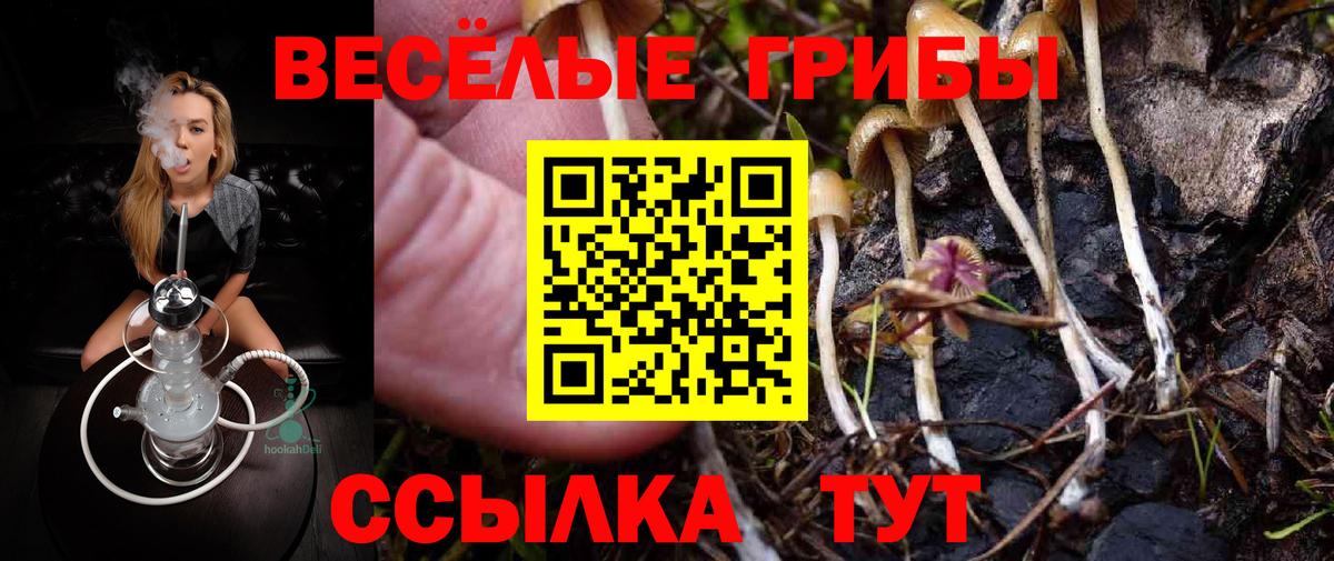 Сургут  Псилоцибиновые грибы прущие грибы  Вход с VPN 